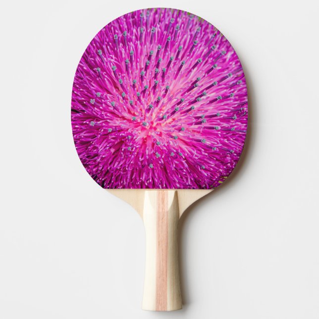 Milk thistle closeup ping pong paddle (Front)