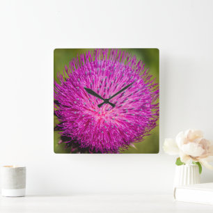 Milk thistle closeup square wall clock