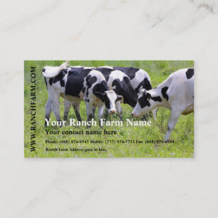 Milking Dairy Cow Cattle Ranch Farm Business Card