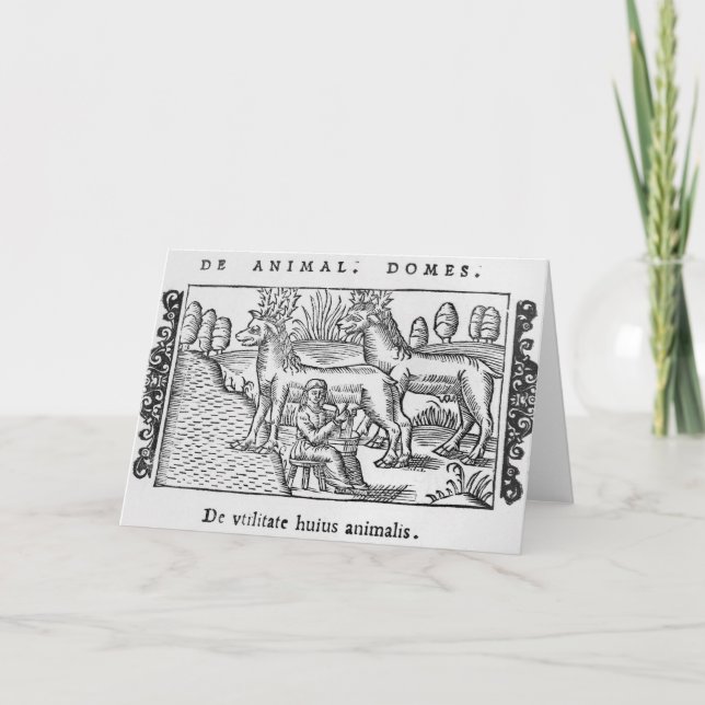 Milking reindeers holiday card (Front)