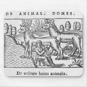 Milking reindeers mouse mat