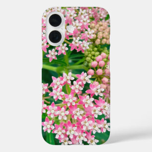 Milkweed aka Asclepias Summer Blooms  iPhone 16 Case