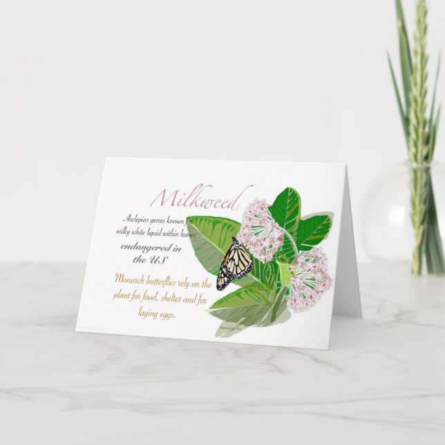 Milkweed Blank Card (Front)