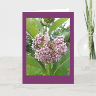 Milkweed Blank Note Card
