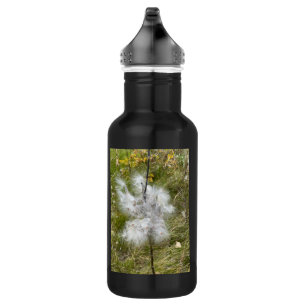 Milkweed Butterfly 532 Ml Water Bottle