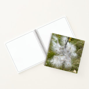 Milkweed   Butterfly   Sketch Notebook