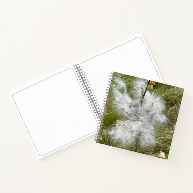 Milkweed | Butterfly | Sketch Notebook (Inside)