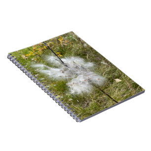 Milkweed   Butterfly   Spiral Notebook