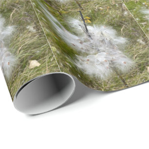 Milkweed   Butterfly   Wrapping Paper