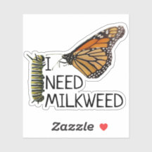 Milkweed For Monarch Butterflies