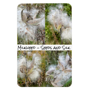 Milkweed   Natural Flexible Magnet