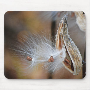 Milkweed Pod Macro Mouse Mat