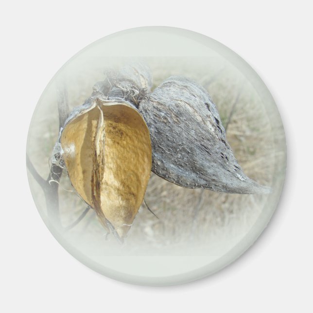 Milkweed Pods Magnet (Front)