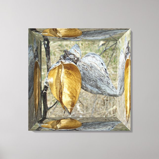 Milkweed Pods - Mirror Box Canvas Print (Front)