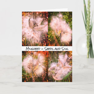 Milkweed   Sangria Note Card