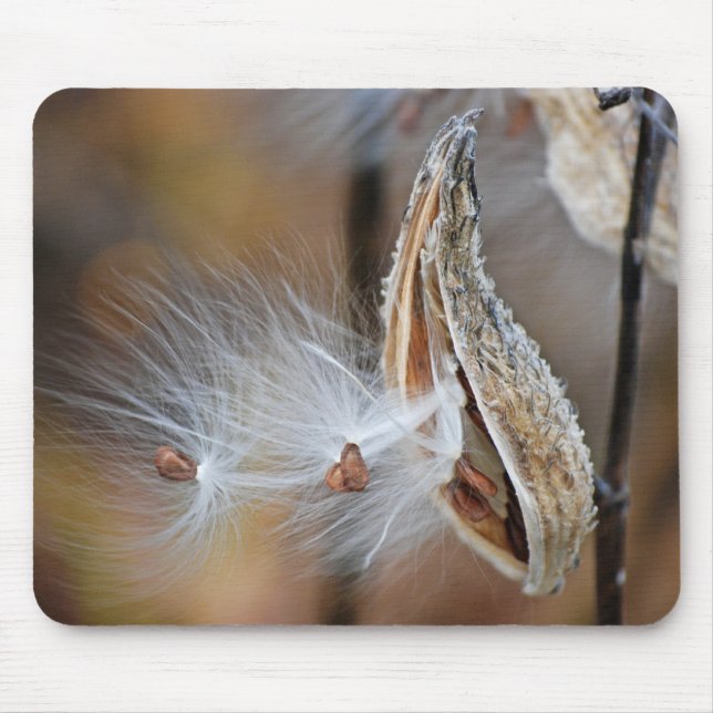 milkweed seedling mouse mat (Front)