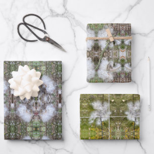 Milkweed Seeds and Silk   Natural   Mirror  Wrapping Paper Sheet