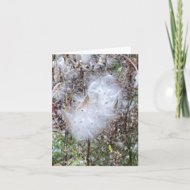 Milkweed Seeds and Silk Note Card (Front)