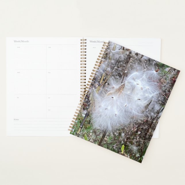 Milkweed Seeds and Silk Planner (Display)
