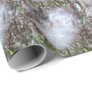Milkweed Seeds and Silk Wrapping Paper