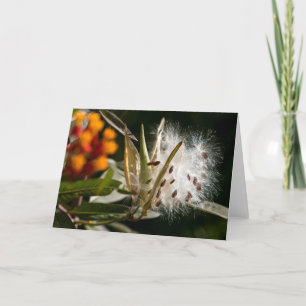 Milkweed Seeds Card