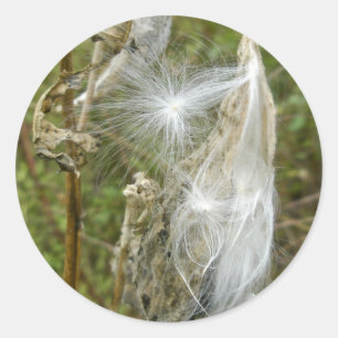 Milkweed Seeds Coordinating Items Classic Round Sticker