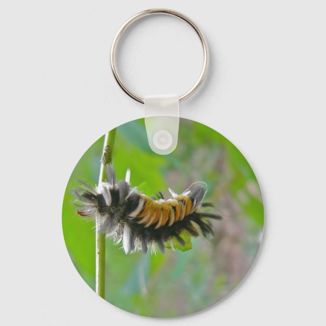 Milkweed Tussock Moth Caterpillar Items Key Ring (Front)