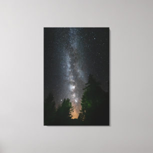 Milky way above spruce forest canvas print