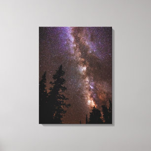 Milky Way   Cedar Breaks National Monument Utah Canvas Print