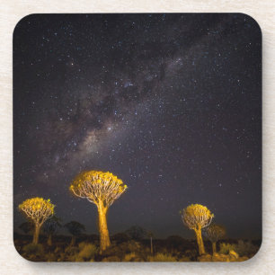 Milky Way Quiver Tree Keetmanshoop Namibia Coaster