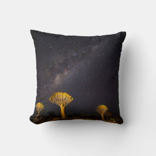 Milky Way Quiver Tree   Keetmanshoop Namibia Cushion