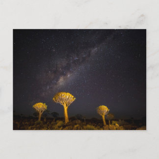 Milky Way Quiver Tree | Keetmanshoop Namibia Postcard