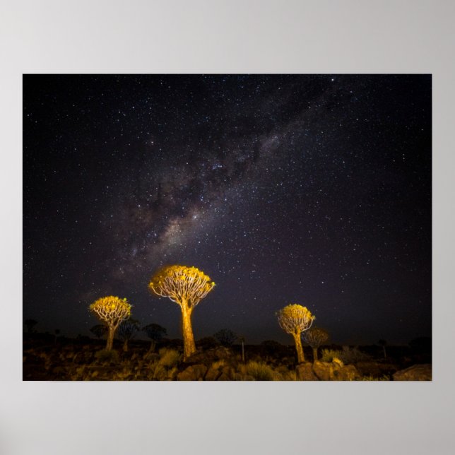 Milky Way Quiver Tree | Keetmanshoop Namibia Poster (Front)