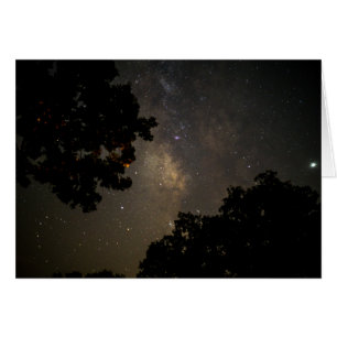 Milky Way Trees