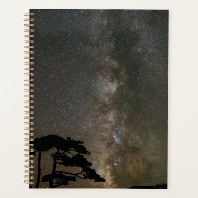 Milky Way with Tree | Ouray Colorado Planner (Front)