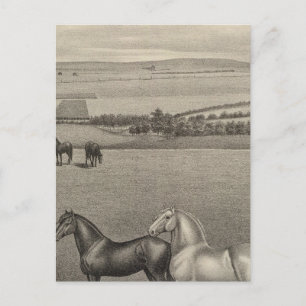 Mill Brae Ranch, Kansas Postcard