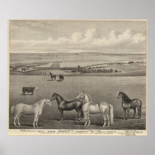 Mill Brae Ranch, Kansas Poster
