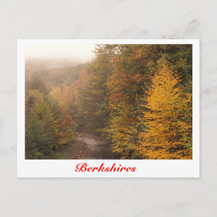 Mill Brook Autumn, Berkshires Stream Postcard