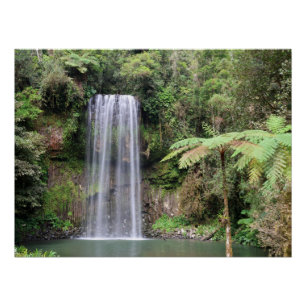 Millaa Millaa Falls Queensland Rainforest Photo Poster