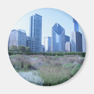 Millennium Park Magnet
