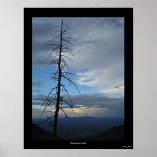 Miller Canyon Solitude Poster