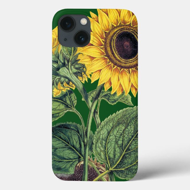 Miller: Sunflower Case-Mate iPhone Case (Back)
