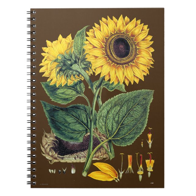 Miller: Sunflower Notebook (Front)