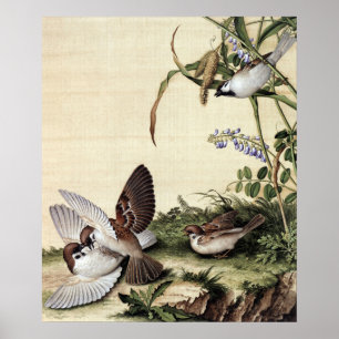 Millet Flowers and Soybean Blossoms Fine Art Poster