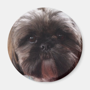 Millie magnet