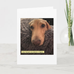 Millie the Dog Humor Card, Algebra Joke, Cute Dog Card