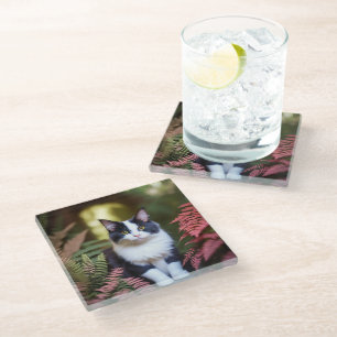 Millie The Ragdoll Cat,  Glass Coaster