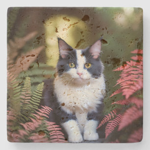 Millie The Ragdoll Cat, Stone Coaster