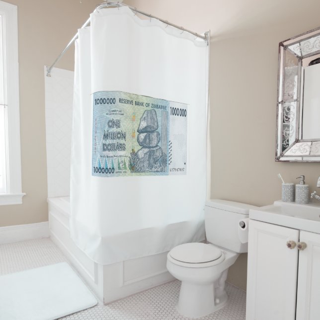 Million Dollar Shower Curtain (In Situ)
