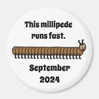 Millipede, brown magnet